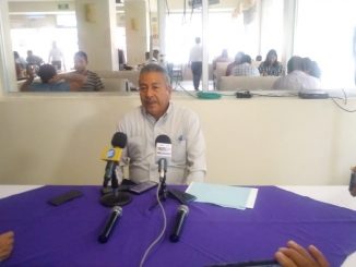 Buscan Simular